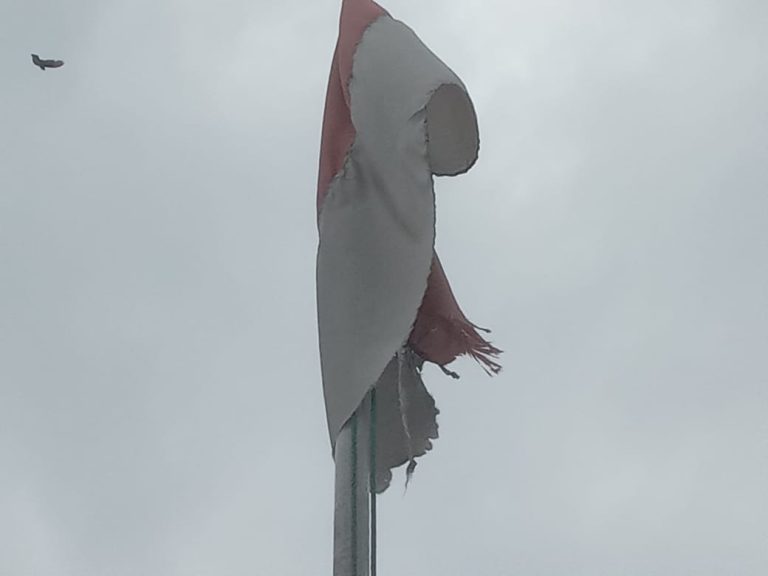 IMG-20250618-WA0036