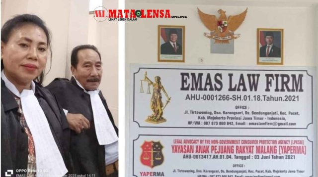 a0304a01-19b8-47d6-b32b-85a93c1789bc_11zon